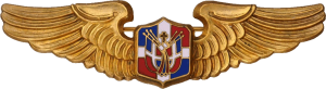 Нагрудный знак Пилот  