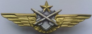 Badge Pilot 