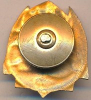 Badge  