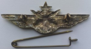 Badge Pilot 