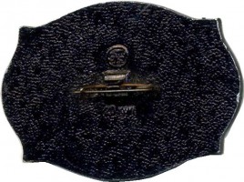 Нагрудный знак Корабли парусного флота