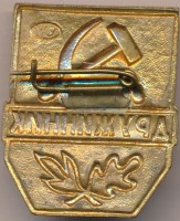 Нагрудный знак Дружинник  