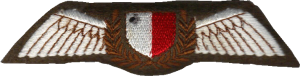 Нагрудный знак Пилот  