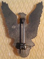 Badge Pilot 3rd class 