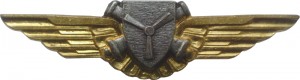 Badge Mechanician 