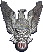Нагрудный знак Пилот 3 класса  