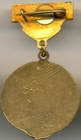 Нагрудный знак Областной совет 2-ое место, ДСО 