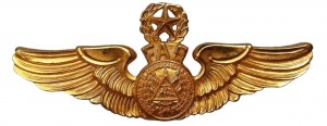 Нагрудный знак Мастер пилот  