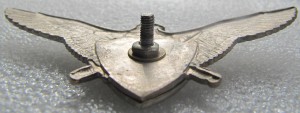 Badge Pilot without class 
