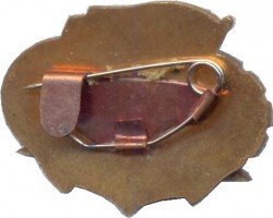 Badge  