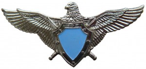 Badge Pilot without class 