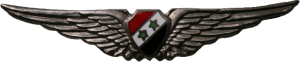 Нагрудный знак Пилот 