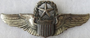 Нагрудный знак Мастер пилот 