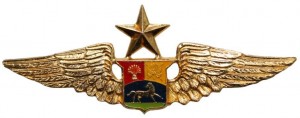Badge Senior pilot 
