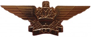 Badge Pilot 