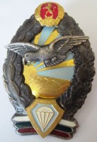Нагрудный знак Парашютист 