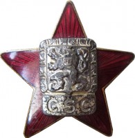 Нагрудный знак Звезда 