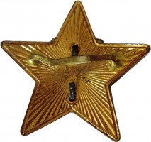 Нагрудный знак Звезда 