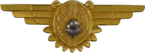 Нагрудный знак Летающий военный врач 