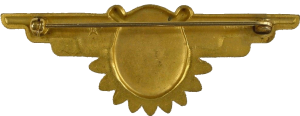 Нагрудный знак Летающий военный врач 