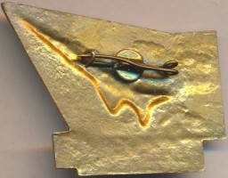 Нагрудный знак 30 лет  