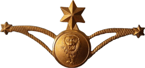 Нагрудный знак Штурман  