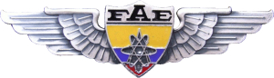 Badge Electronics Engineer(enlisted) 