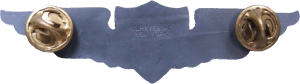 Badge Electronics Engineer(enlisted) 