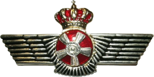 Badge Technician 