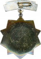 Нагрудный знак Ветеран Киевского военного училища им. М.В. Фрунзе 