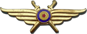 Badge Pilot 