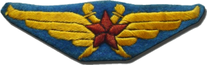 Badge Pilot 