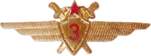 Badge Pilot 3rd class 