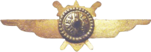 Badge Pilot 3rd class 