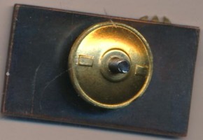 Нагрудный знак 95 лет  ДСО 