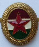 Нагрудный знак Кокарда 