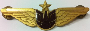Нагрудный знак EXPRESS AIRLINESEXPRESS AIRLINES 