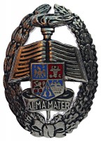 Нагрудный знак Военная академия 