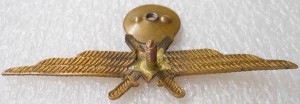 Нагрудный знак Летчик без класса 