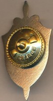 Badge  