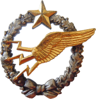 Badge Radioman 