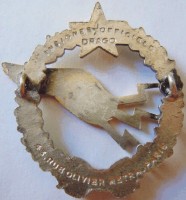Badge Radioman 