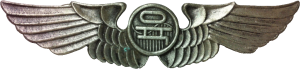 Нагрудный знак Пилот 