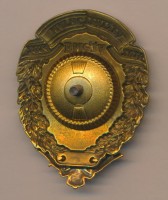 Нагрудный знак ВМедА магистратура  
