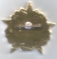 Нагрудный знак 75 лет 22 ГвИАП 1918-1993 