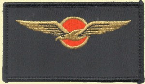 Badge Pilot 