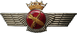 Badge Air gunner 