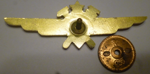 Badge Technician 2nd class 