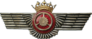 Нагрудный знак Водитель 