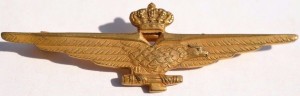 Badge Pilot 
